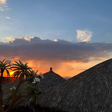 Casa Carmona 33 Hotel Querétaro Eksteriør billede